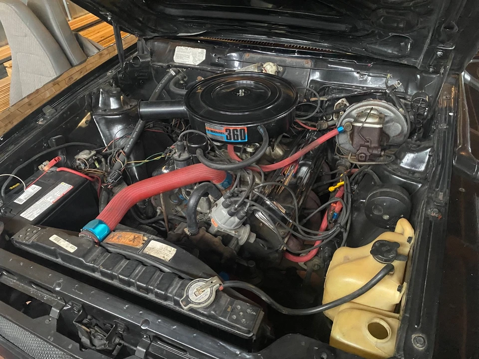 1979 AMC AMX - Image 5 of 14