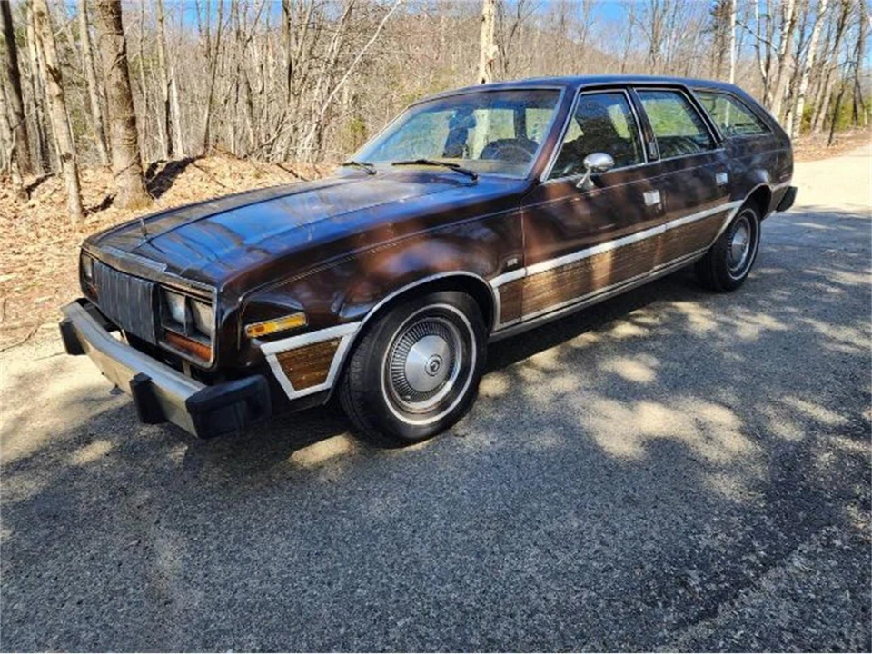 1979 AMC Spirit - Image 10 of 24