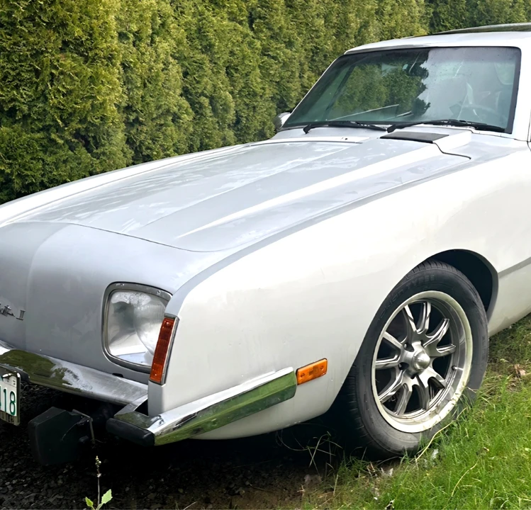 1979 Studebaker Avanti - Image 9 of 20