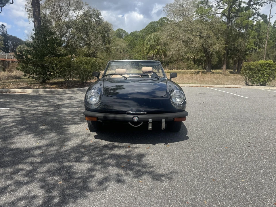 1979 Alfa Romeo Series 2 - Image 9 of 31