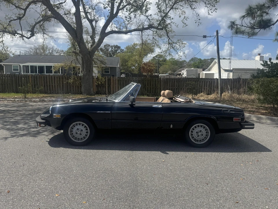 1979 Alfa Romeo Series 2 - Image 3 of 31