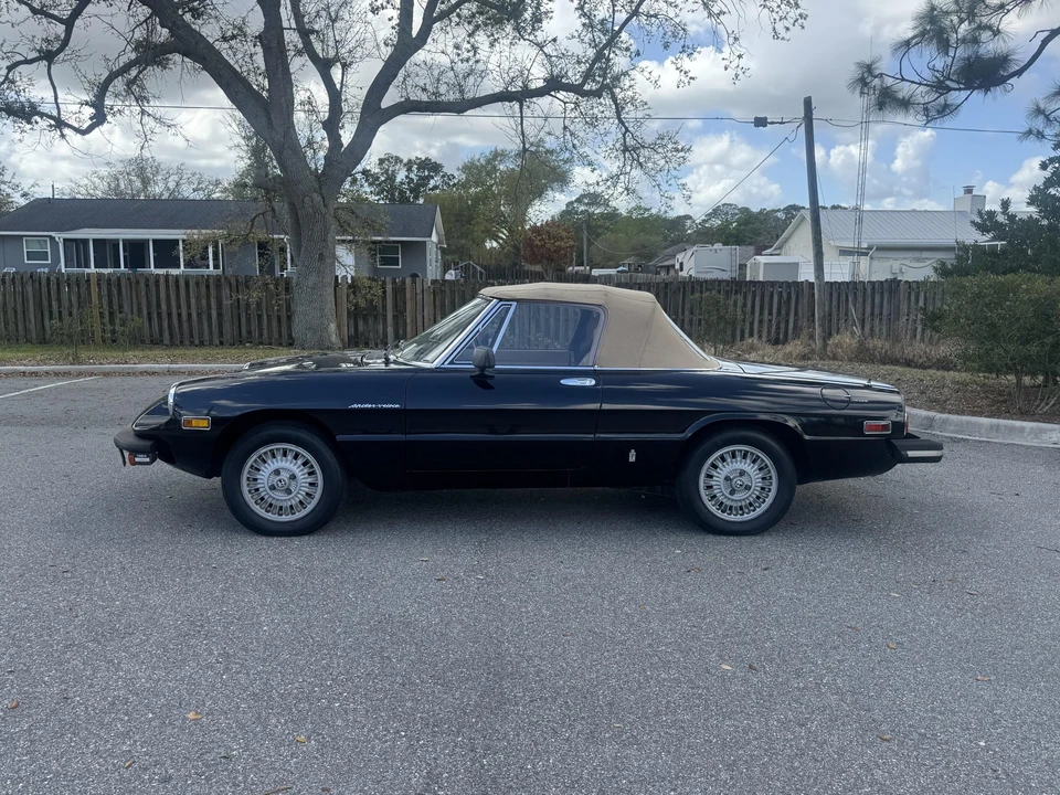 1979 Alfa Romeo Series 2 - Image 11 of 31