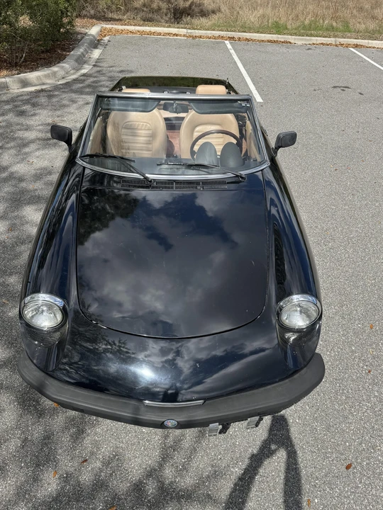 1979 Alfa Romeo Series 2 - Image 21 of 31