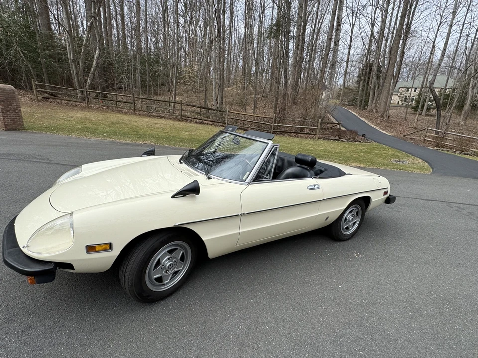 1979 Alfa Romeo Series 2 - Image 2 of 31