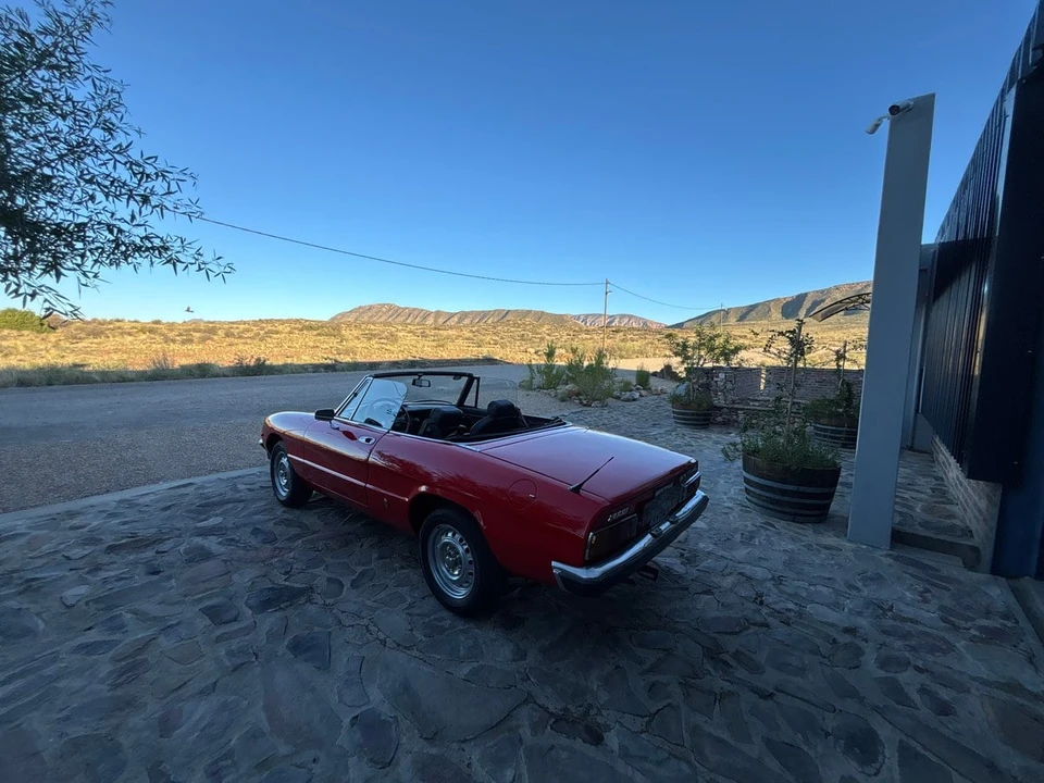 1979 Alfa Romeo Series 2 - Image 4 of 31
