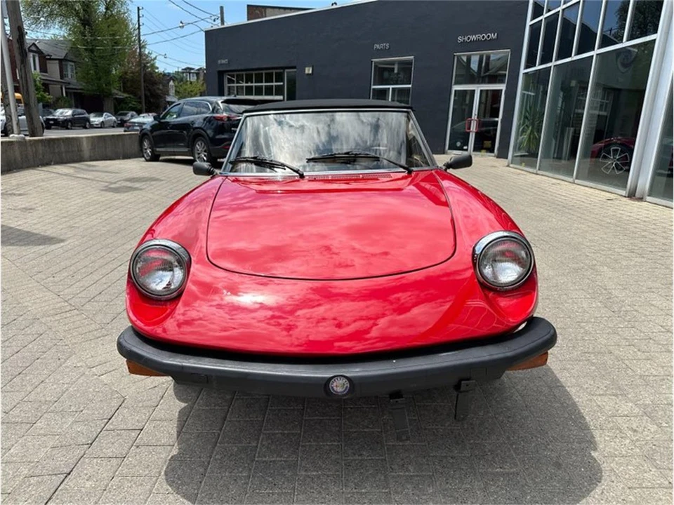 1979 Alfa Romeo Series 2 - Image 2 of 31
