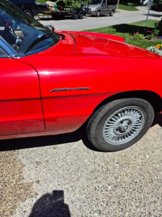 1979 Alfa Romeo Series 2 - Image 5 of 24