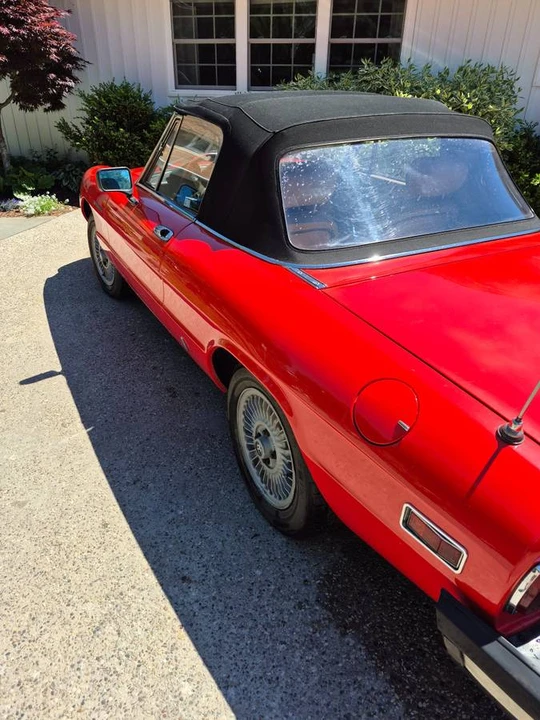 1979 Alfa Romeo Series 2 - Image 11 of 15