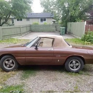 1979 Alfa Romeo Spider