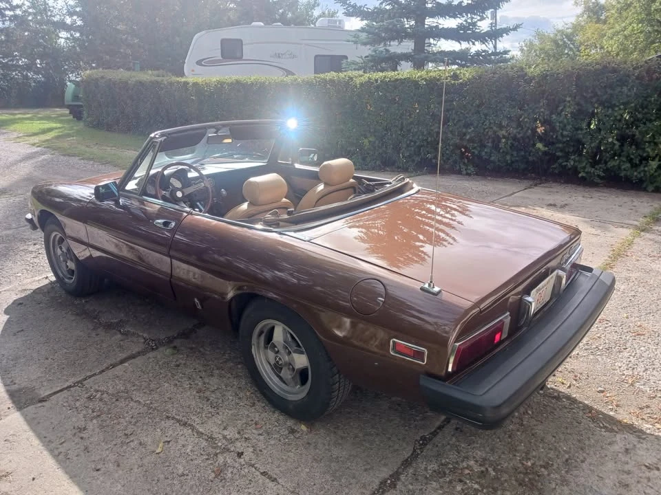 1979 Alfa Romeo Series 2 - Image 4 of 11
