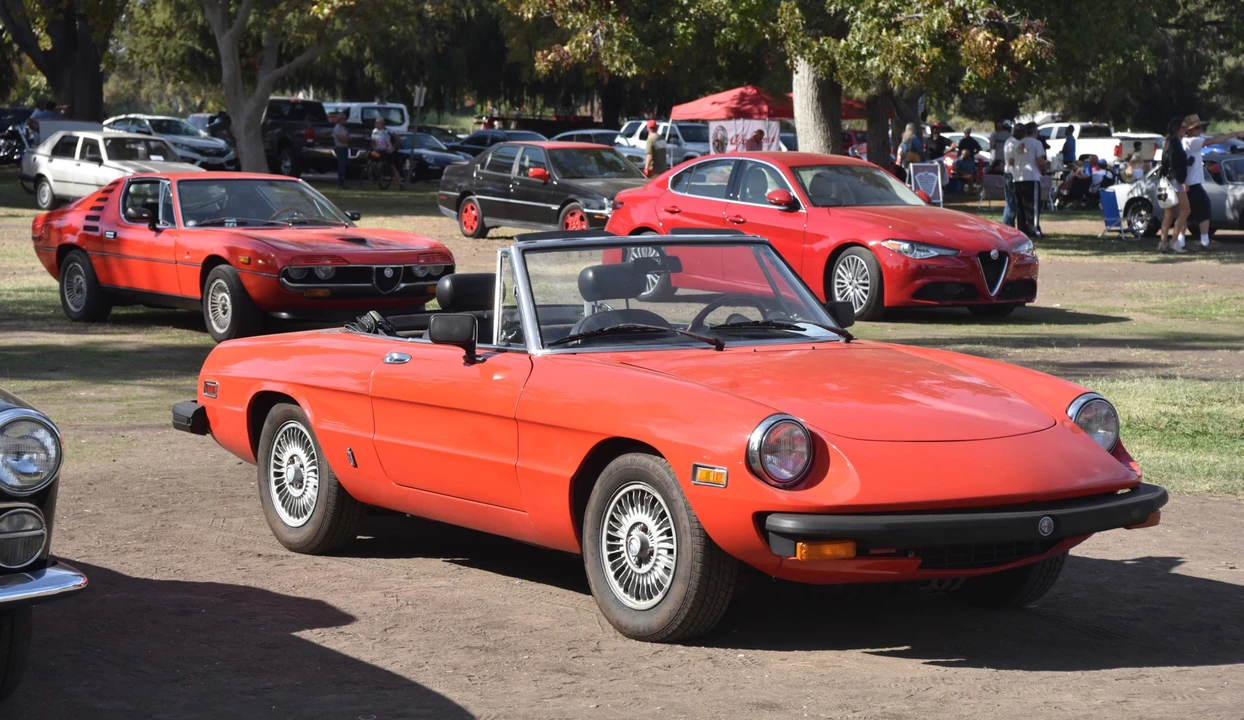 1979 Alfa Romeo Series 2 - Image 8 of 31