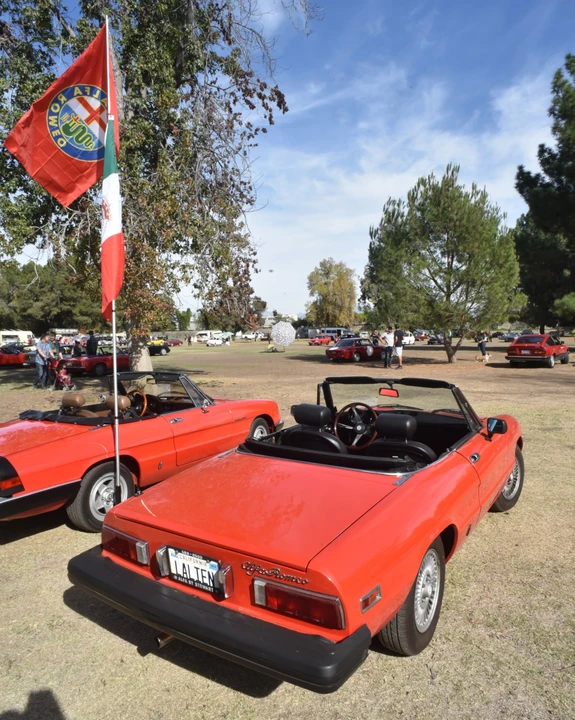 1979 Alfa Romeo Series 2 - Image 14 of 31