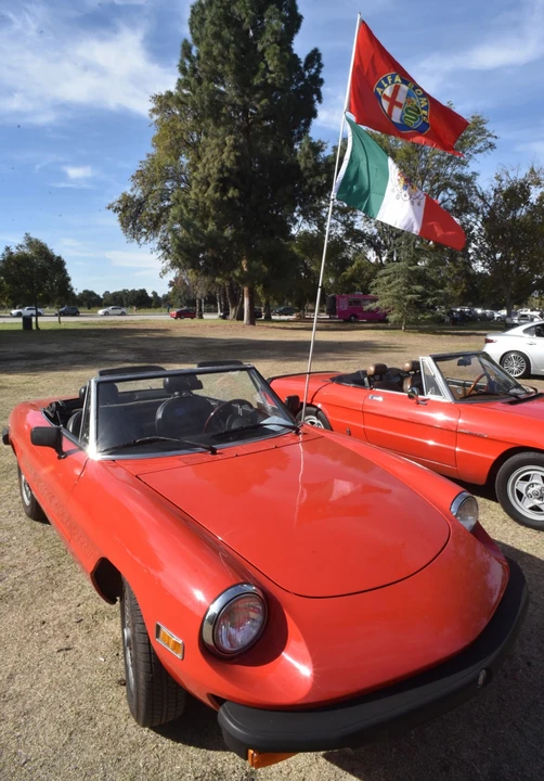 1979 Alfa Romeo Series 2 - Image 16 of 31