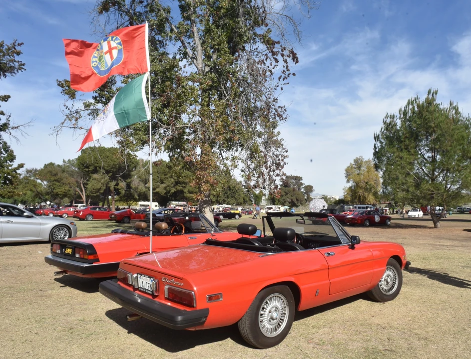 1979 Alfa Romeo Series 2 - Image 15 of 31