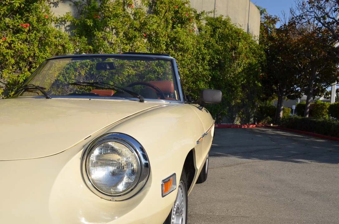 1979 Alfa Romeo Series 2 - Image 11 of 31