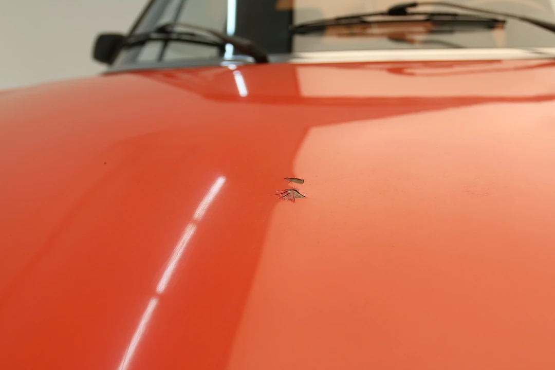 1979 Alfa Romeo Series 2 - Image 20 of 31
