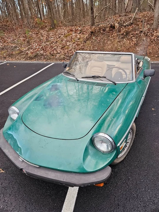 1979 Alfa Romeo Series 2 - Image 3 of 7