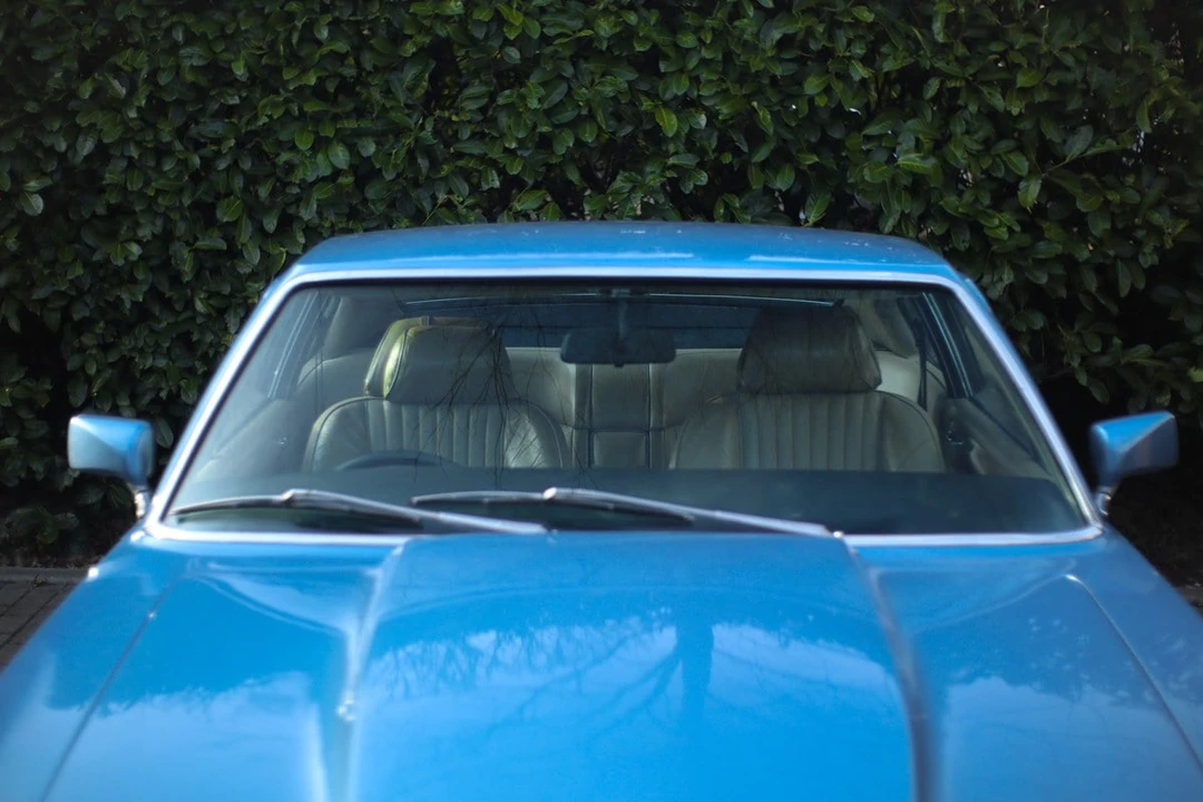 1979 Aston Martin AM V8 - Image 4 of 30