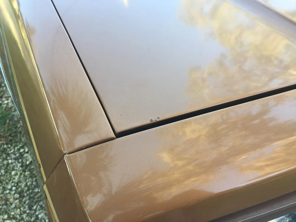 1979 Buick Century - Image 24 of 31