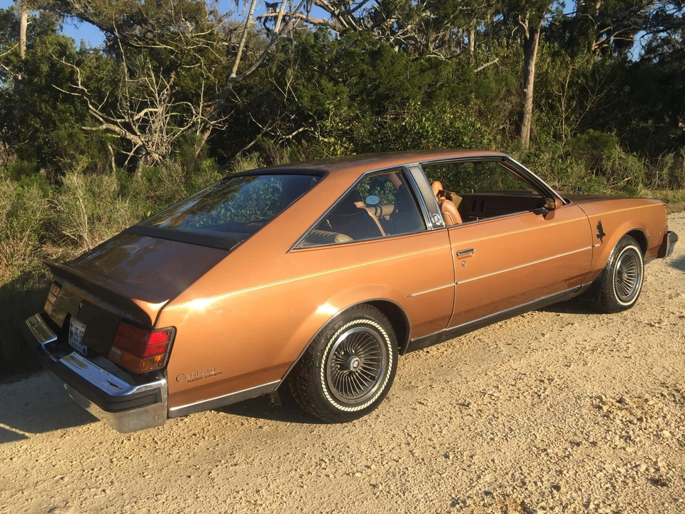 1979 Buick Century - Image 10 of 31