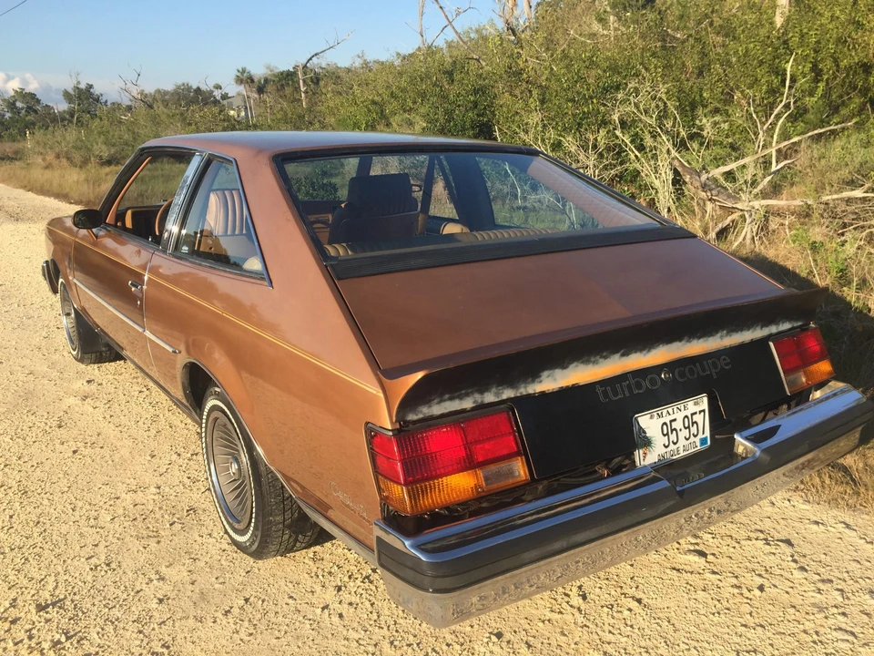 1979 Buick Century - Image 13 of 31
