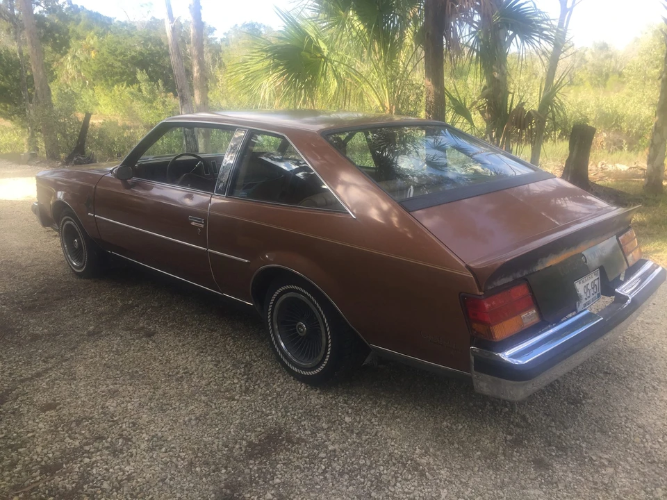 1979 Buick Century - Image 15 of 31