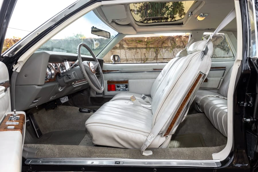 1979 Buick Electra - Image 20 of 31