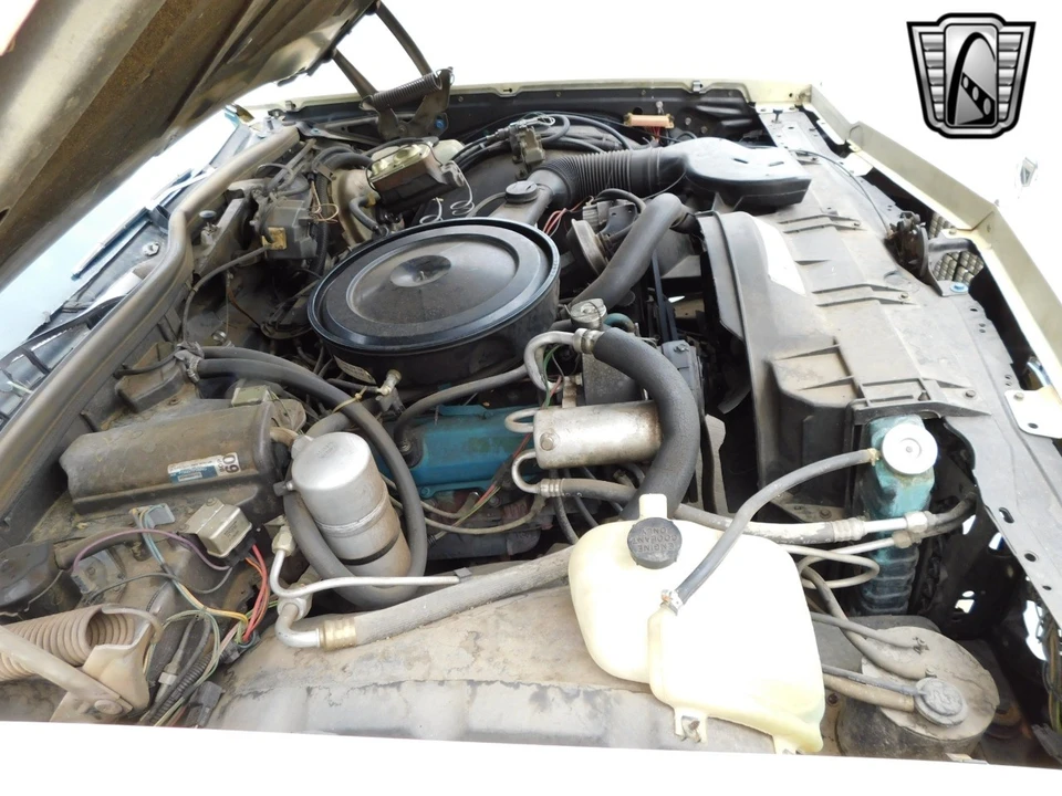 1979 Buick Electra - Image 19 of 21