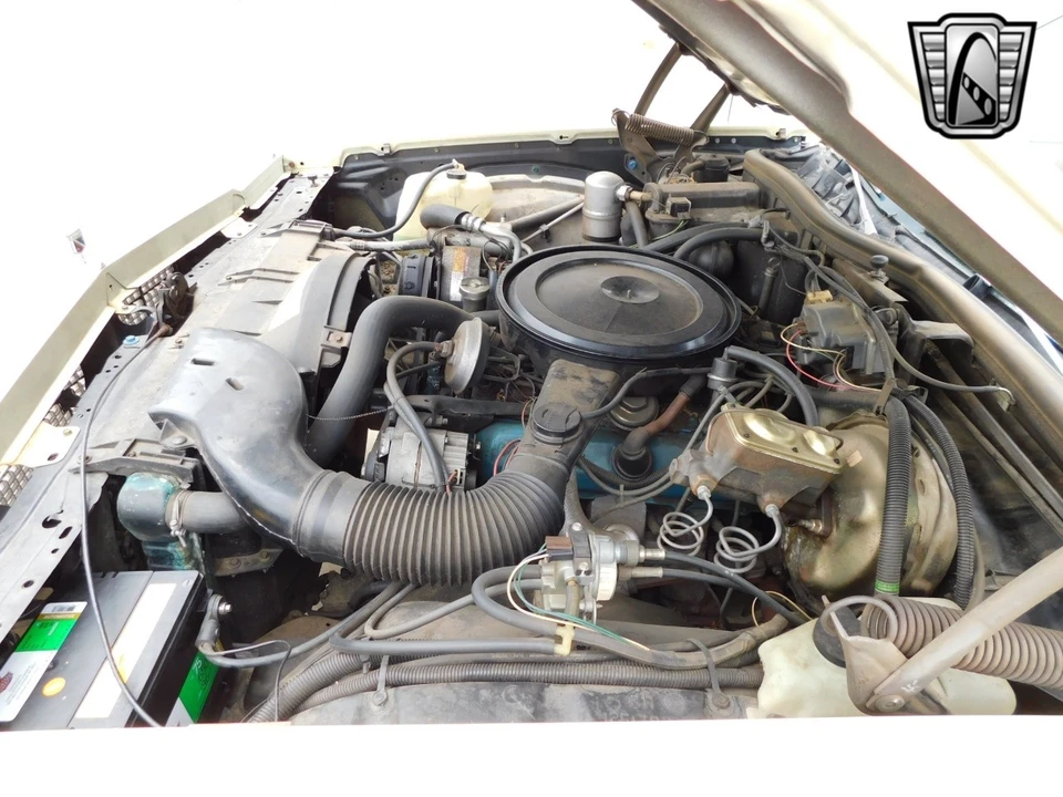 1979 Buick Electra - Image 20 of 21