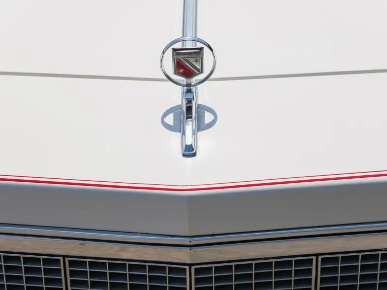 1979 Buick Electra - Image 7 of 31