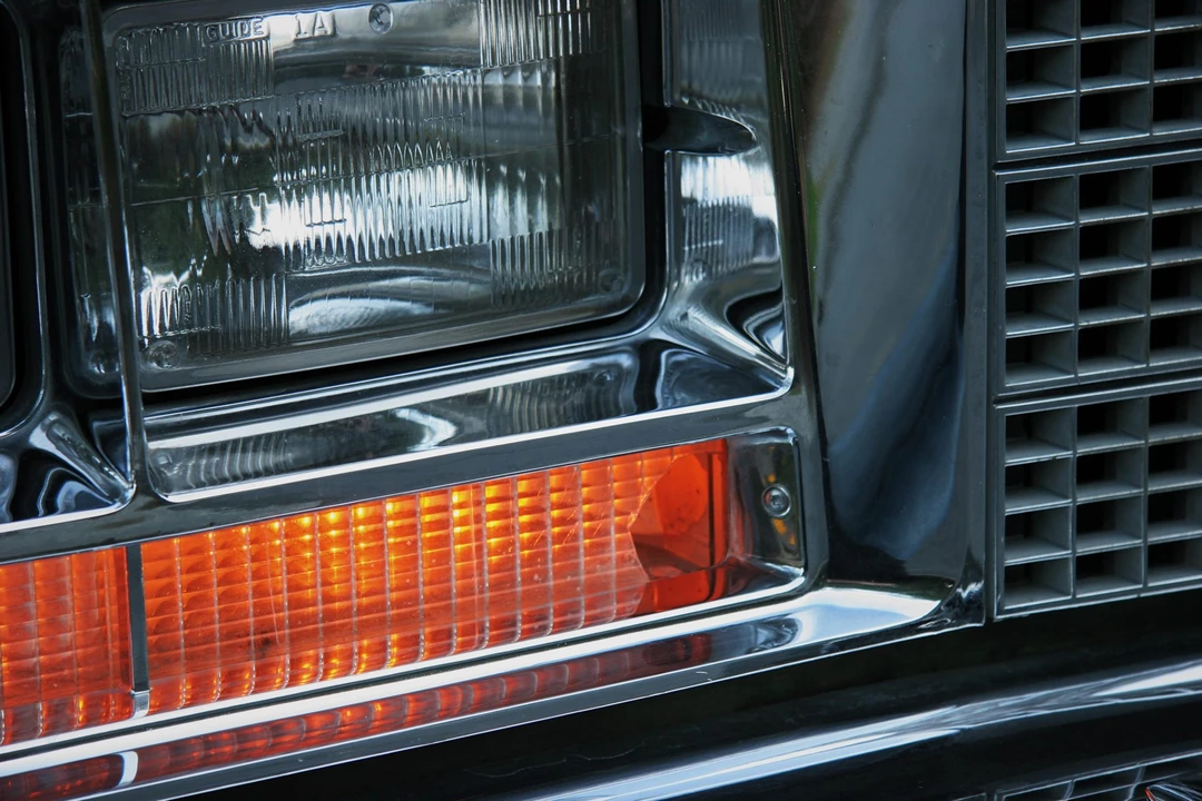 1979 Buick Electra - Image 25 of 31