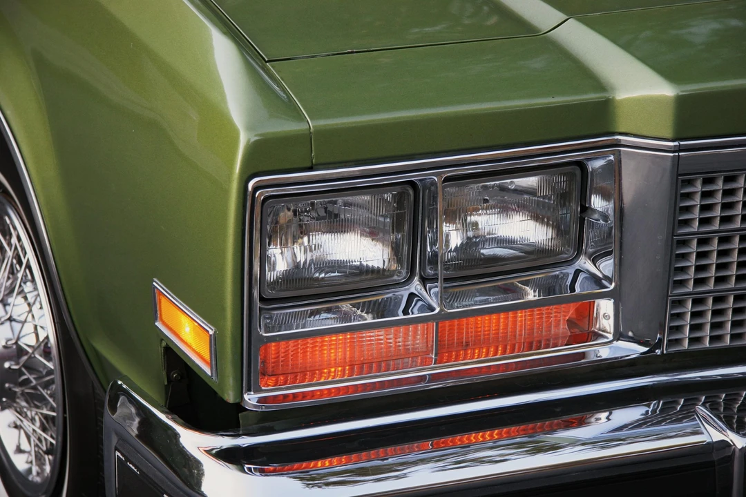 1979 Buick Electra - Image 24 of 31