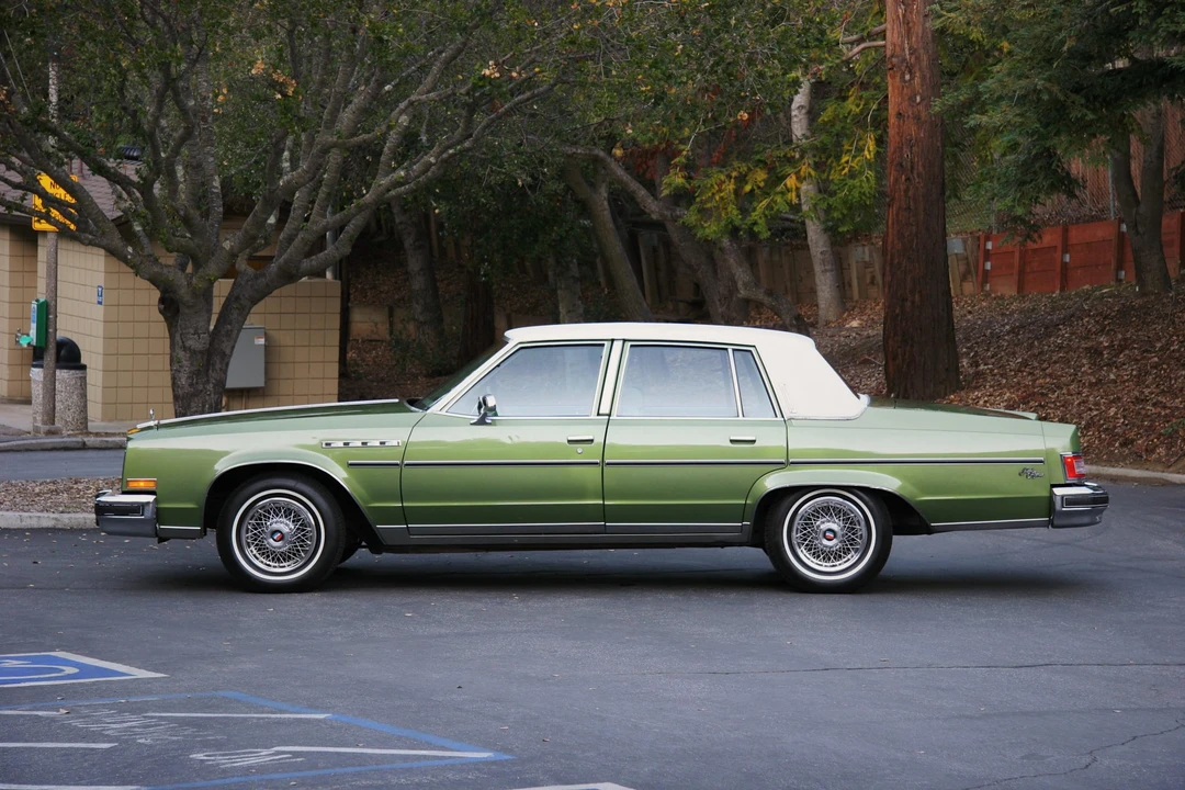 1979 Buick Electra - Image 21 of 31