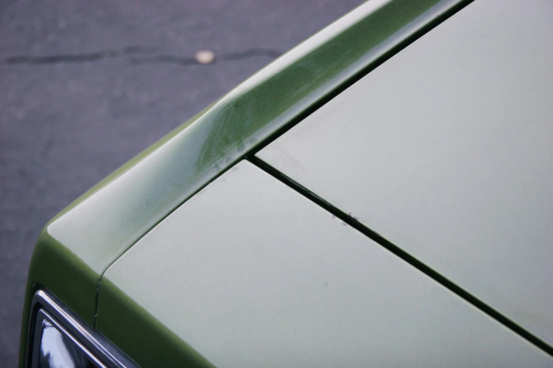 1979 Buick Electra - Image 28 of 31