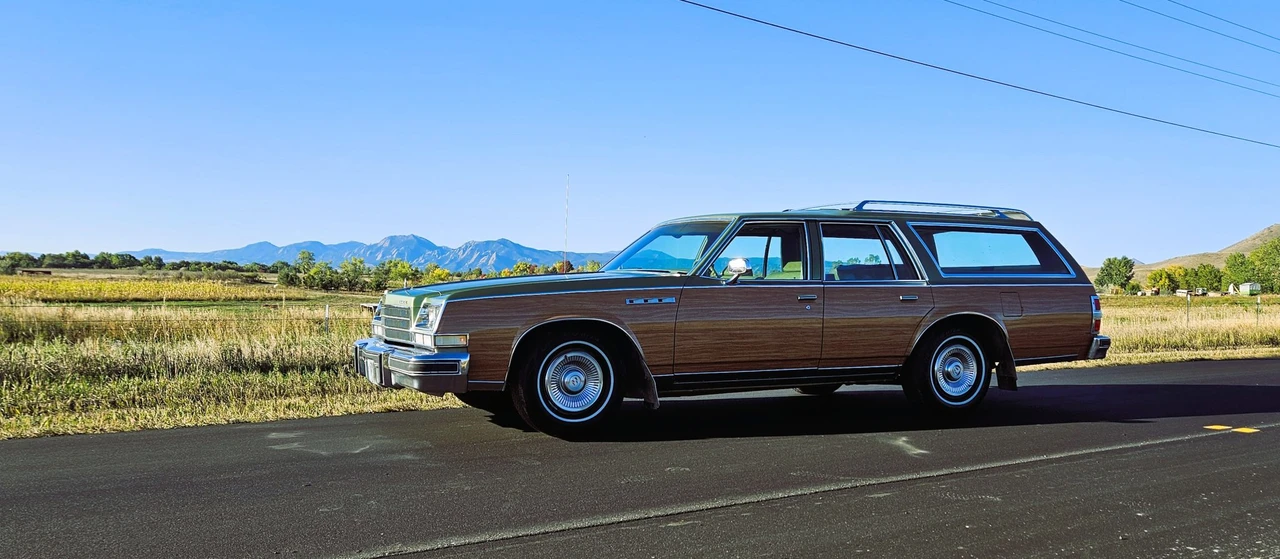 1979 Buick Electra - Image 20 of 31