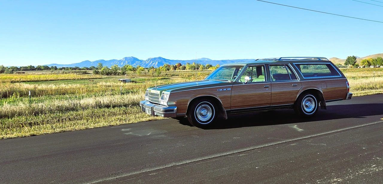 1979 Buick Electra - Image 19 of 31