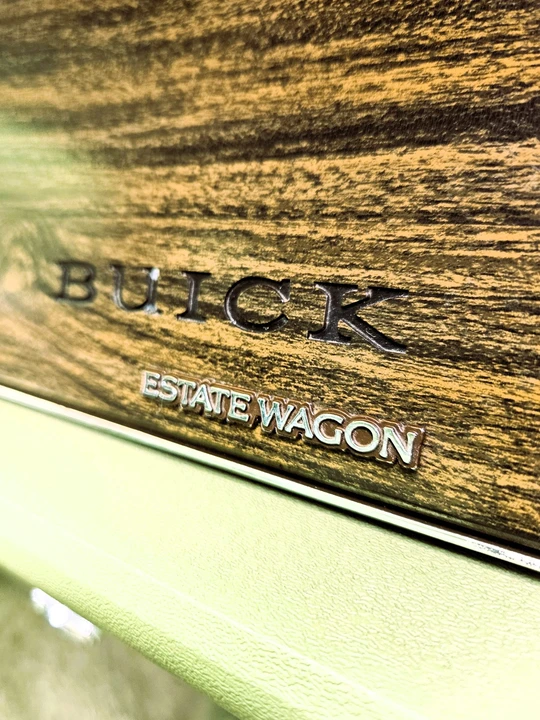 1979 Buick Electra - Image 30 of 31