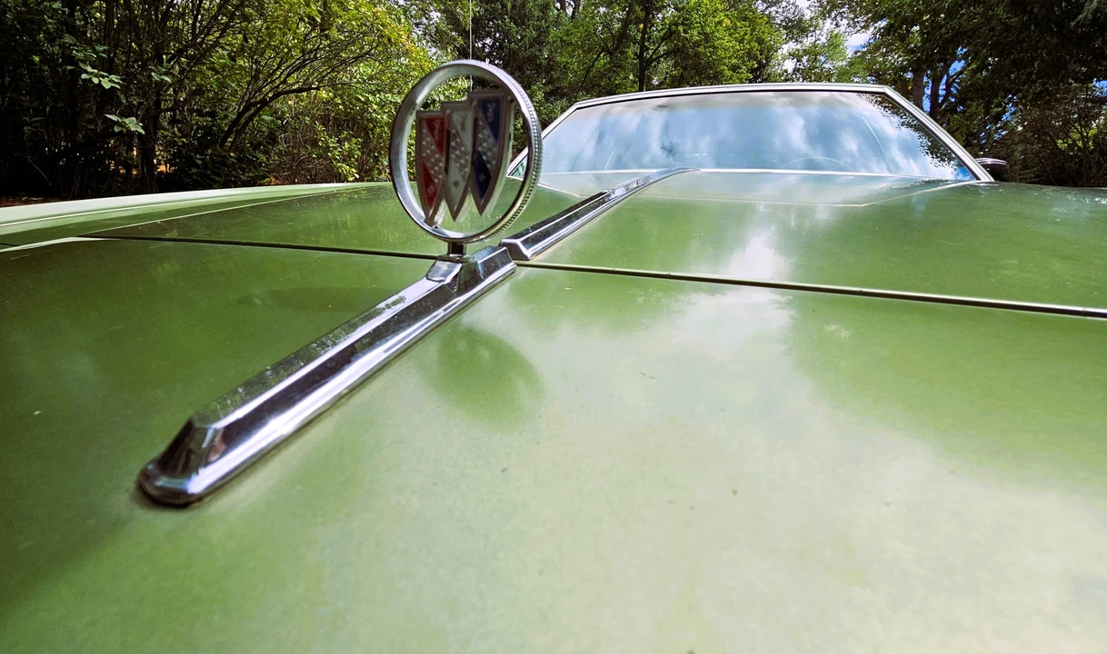 1979 Buick Electra - Image 31 of 31