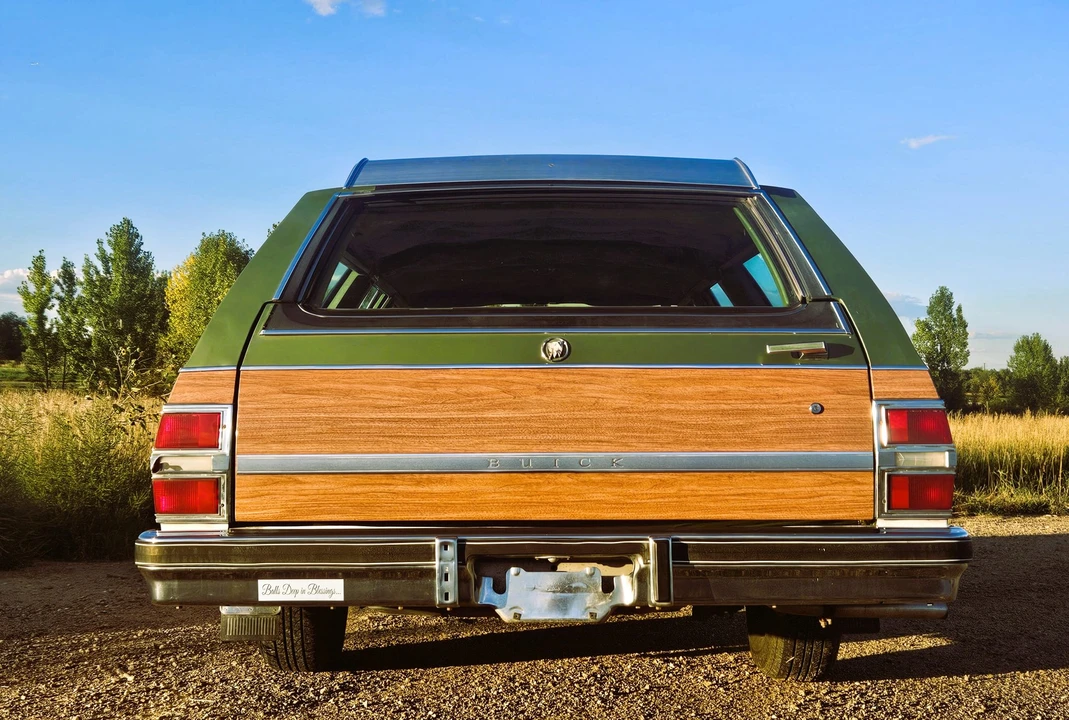 1979 Buick Electra - Image 7 of 31