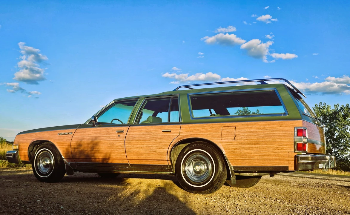1979 Buick Electra - Image 12 of 31