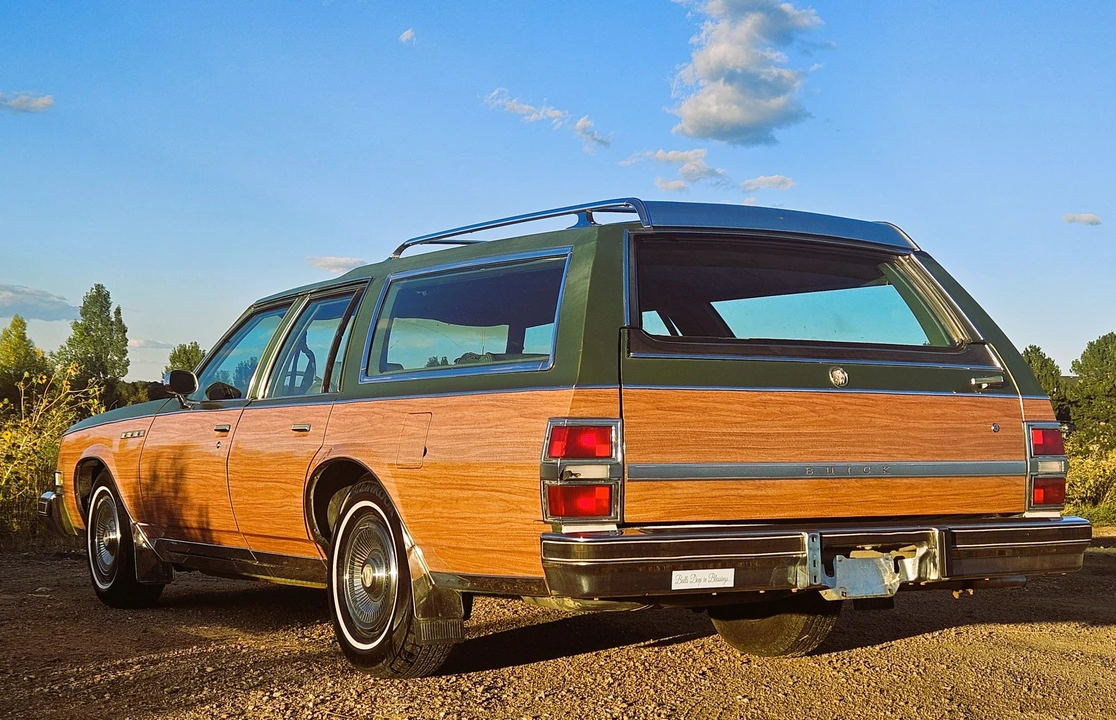 1979 Buick Electra - Image 9 of 31