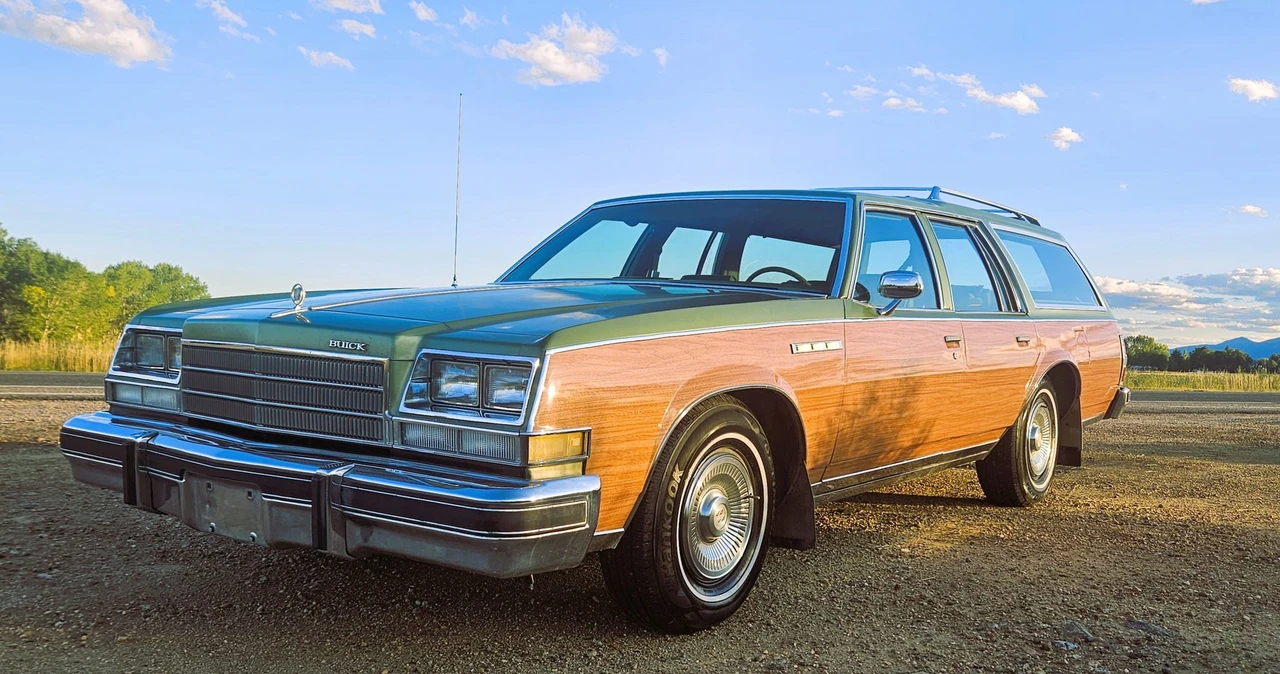 1979 Buick Electra - Image 18 of 31