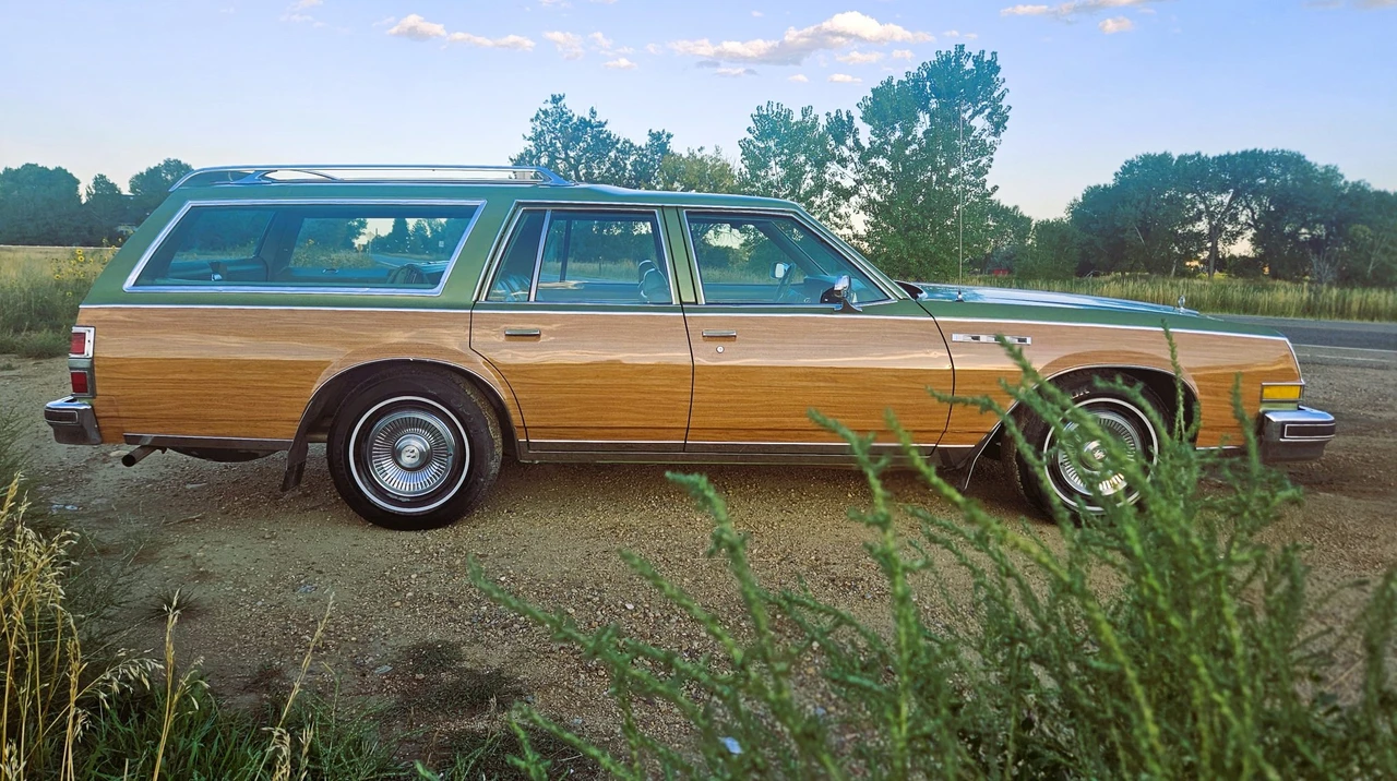 1979 Buick Electra - Image 5 of 31