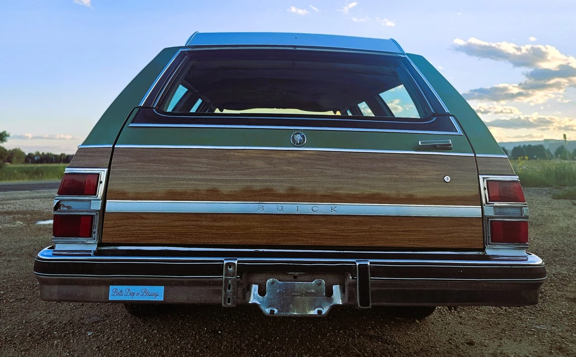 1979 Buick Electra - Image 8 of 31