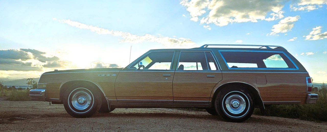 1979 Buick Electra - Image 14 of 31