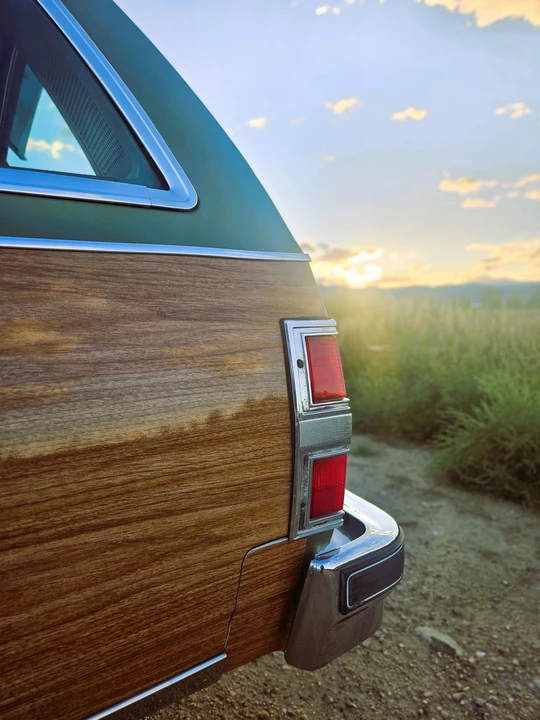 1979 Buick Electra - Image 27 of 31