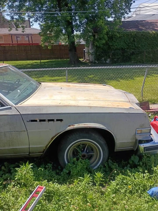 1979 Buick Park Avenue - Image 8 of 8