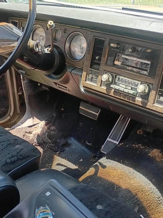 1979 Buick Park Avenue - Image 6 of 8