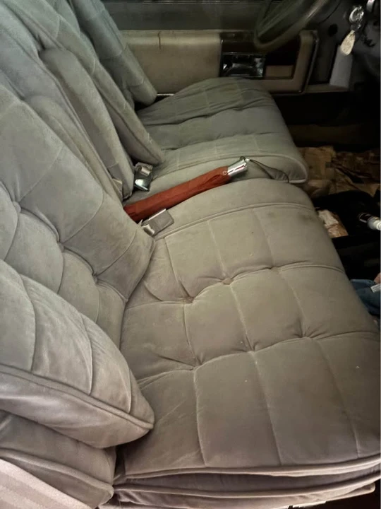 1979 Buick Electra - Image 4 of 14