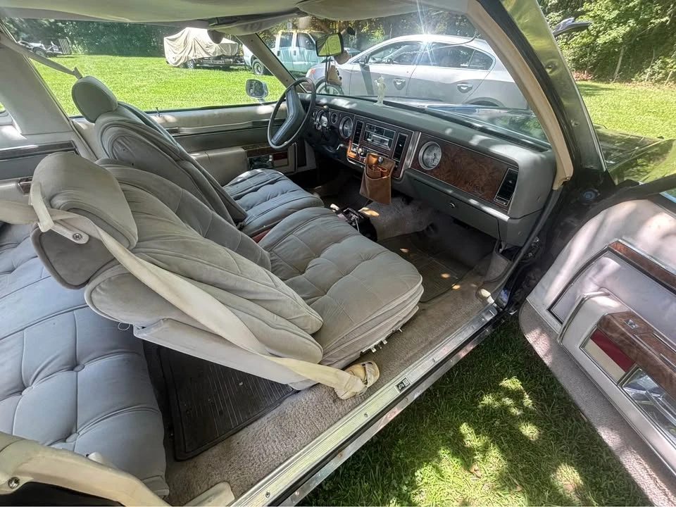1979 Buick Electra - Image 10 of 14